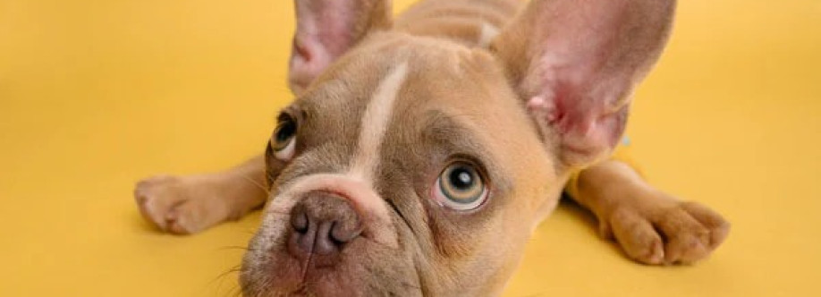 K9 Escapade Cover Image