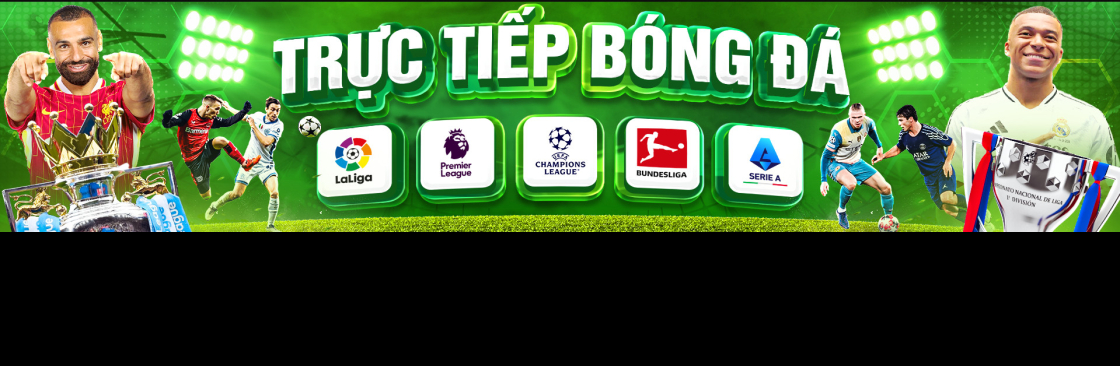 lisabettany.com thao túng kết quả Cover Image