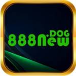 888New dog Profile Picture