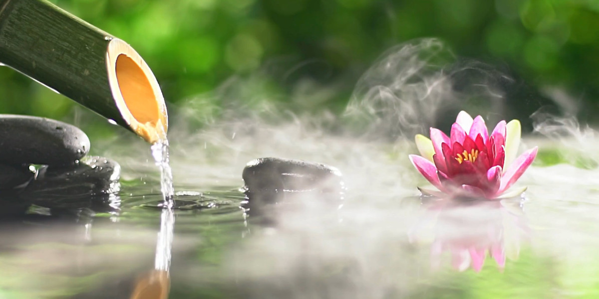 Discover the Natural Wellness Revolution with Premium CBD Products in the USA