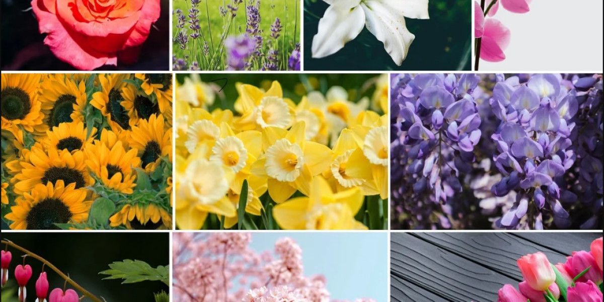 Top 10 Most Beautiful Flowers: Nature’s Artistic Wonders