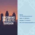 Sonipat plot Near metro Profile Picture