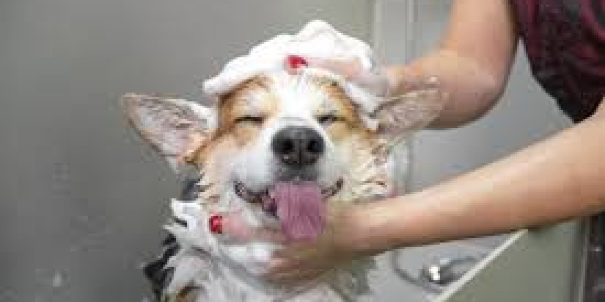 Pet Grooming Home Service: Comfort and Care for Your Pets