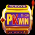 Pkwin07com Profile Picture
