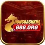 rongbachkin666org Profile Picture