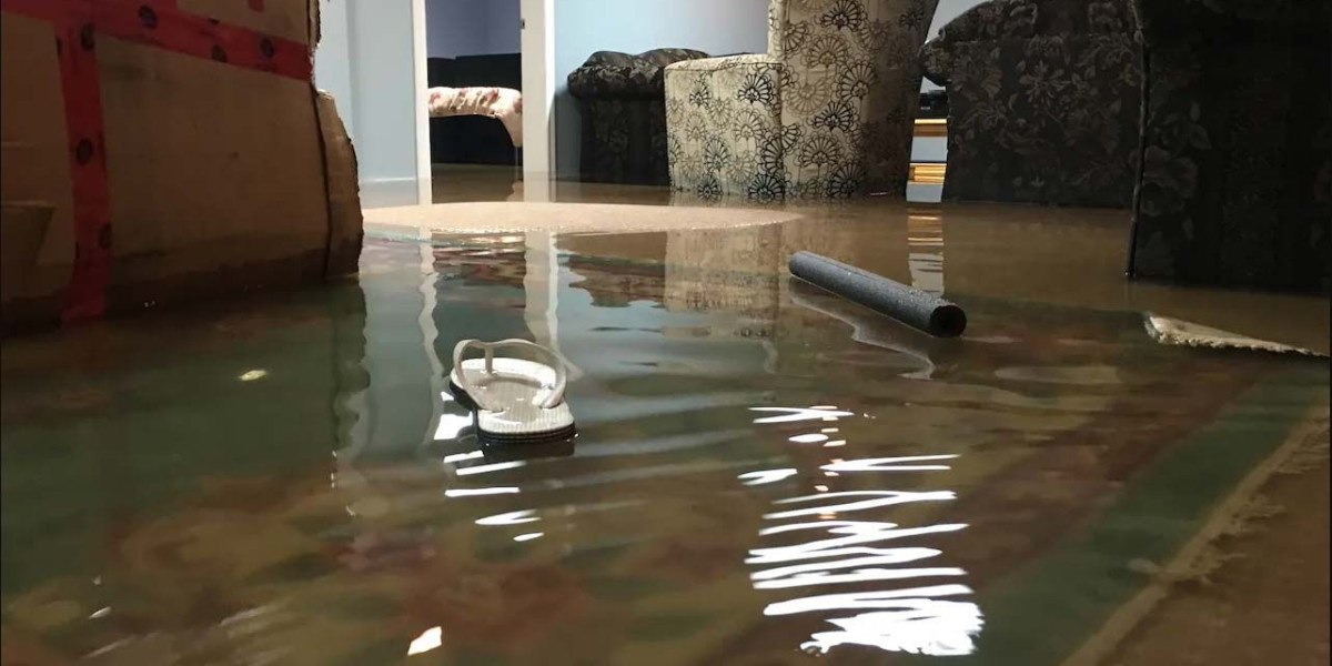 Restoring Cleanliness and Comfort: Expert Water and Damage Restoration Services in Buffalo