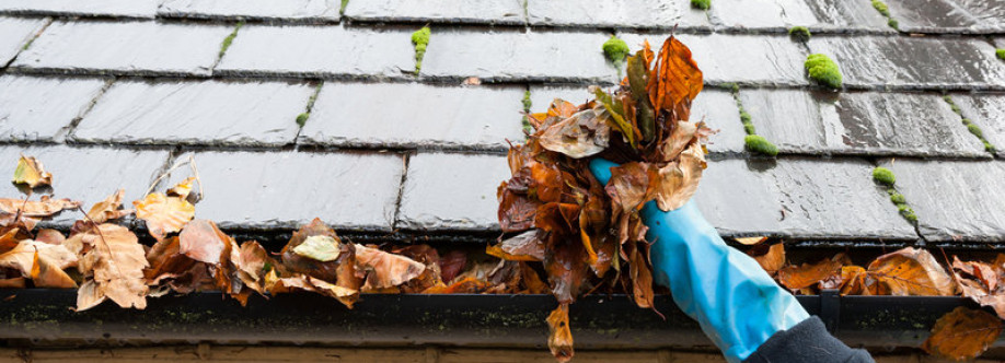 Regal Gutter Cleaning Geelong Cover Image
