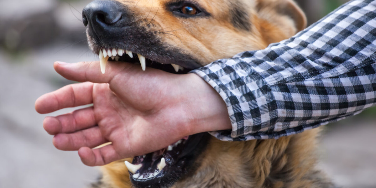 How Local Leash Laws Affect Your St. Louis Dog Bite Injury Claim