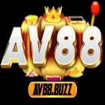 Av88 buzz Profile Picture