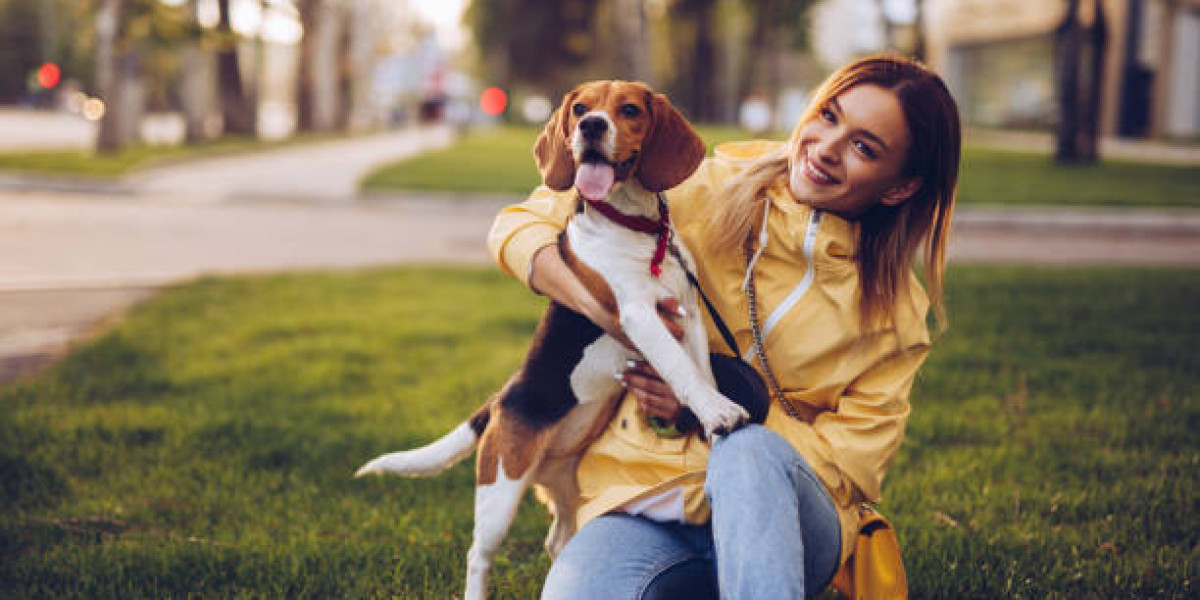 Exploring The Sacred Connection Between Humans And Dogs