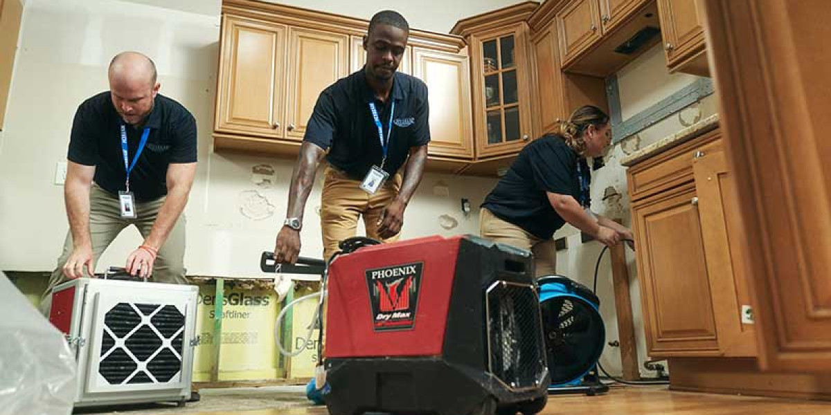 Your Trusted Restoration Contractor Near Me for Home Repair and Recovery