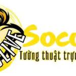 socolivein Profile Picture