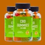 RobinR Pfister Profile Picture