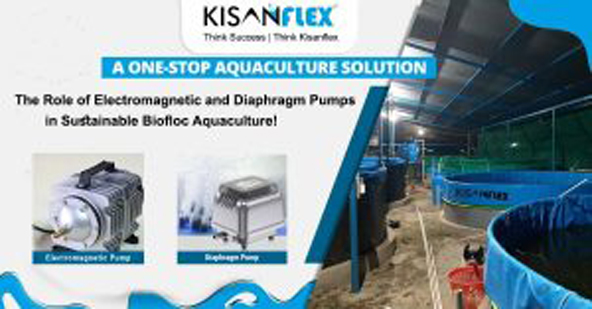The Role of Electromagnetic and Diaphragm Pumps in Sustainable Biofloc Aquaculture