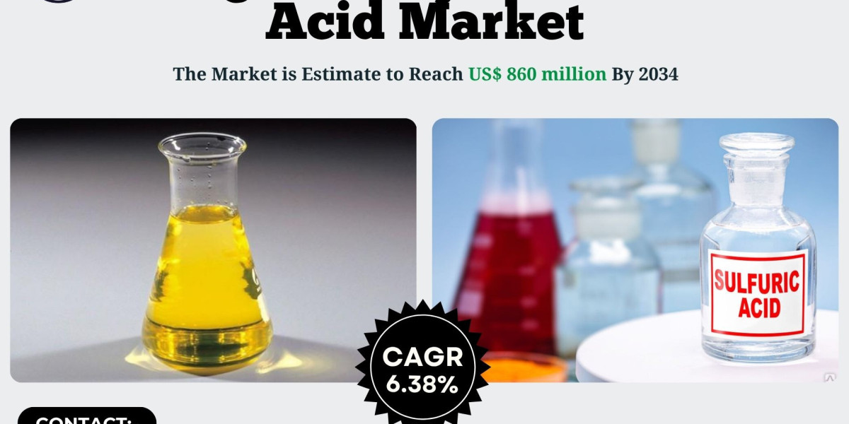 High-Purity Sulfuric Acid Market Future Investment 2034