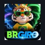 BRGIRO Profile Picture
