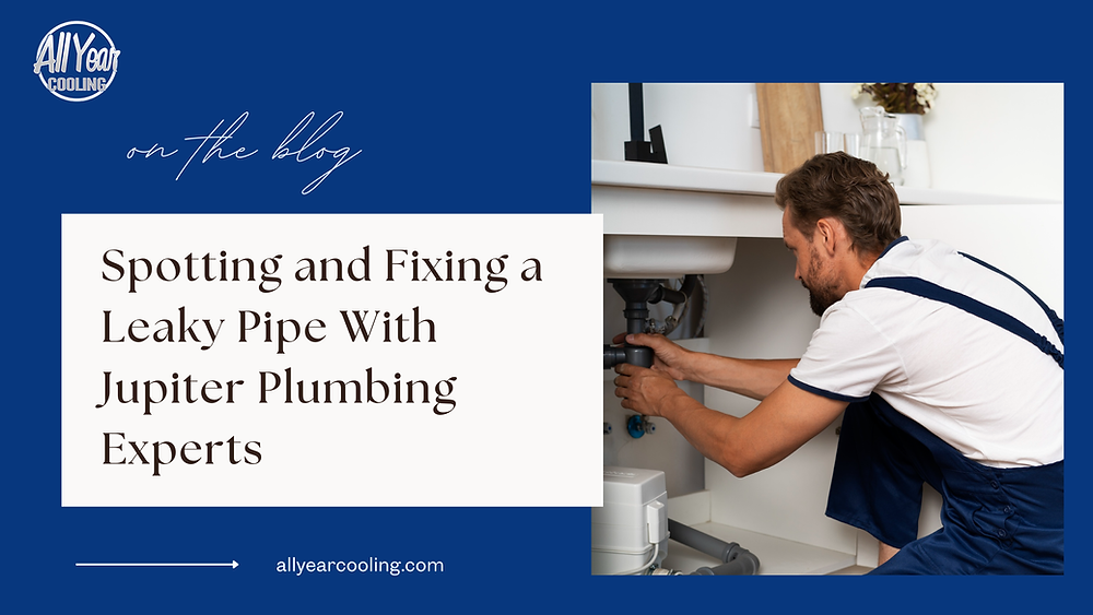Spotting and Fixing a Leaky Pipe With Jupiter Plumbing Experts
