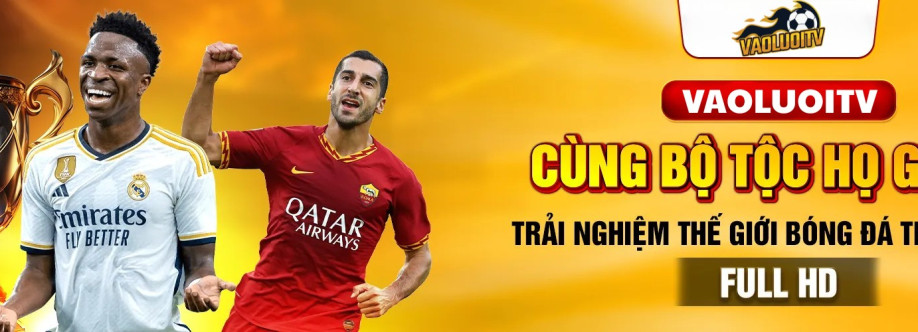 Vaoluoitv pro Cover Image