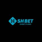 Shbet fund Profile Picture
