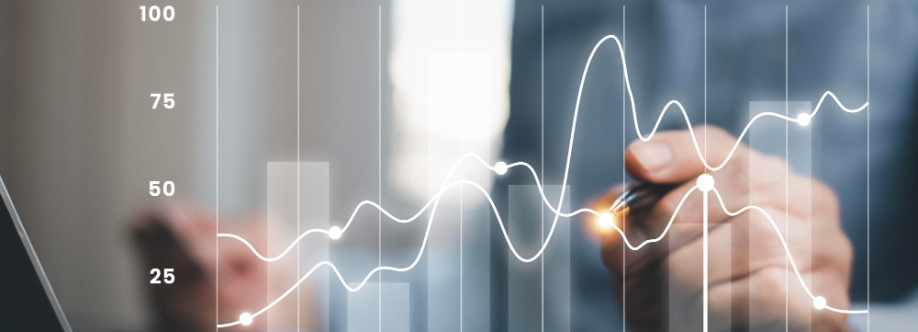 Volvox Consulting Cover Image