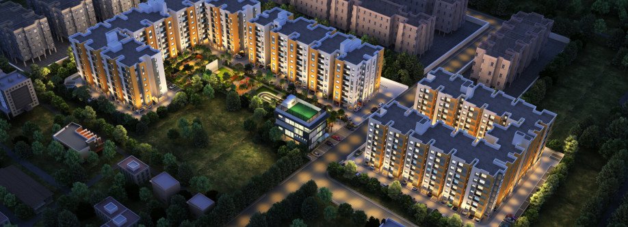 sandp foundation Cover Image