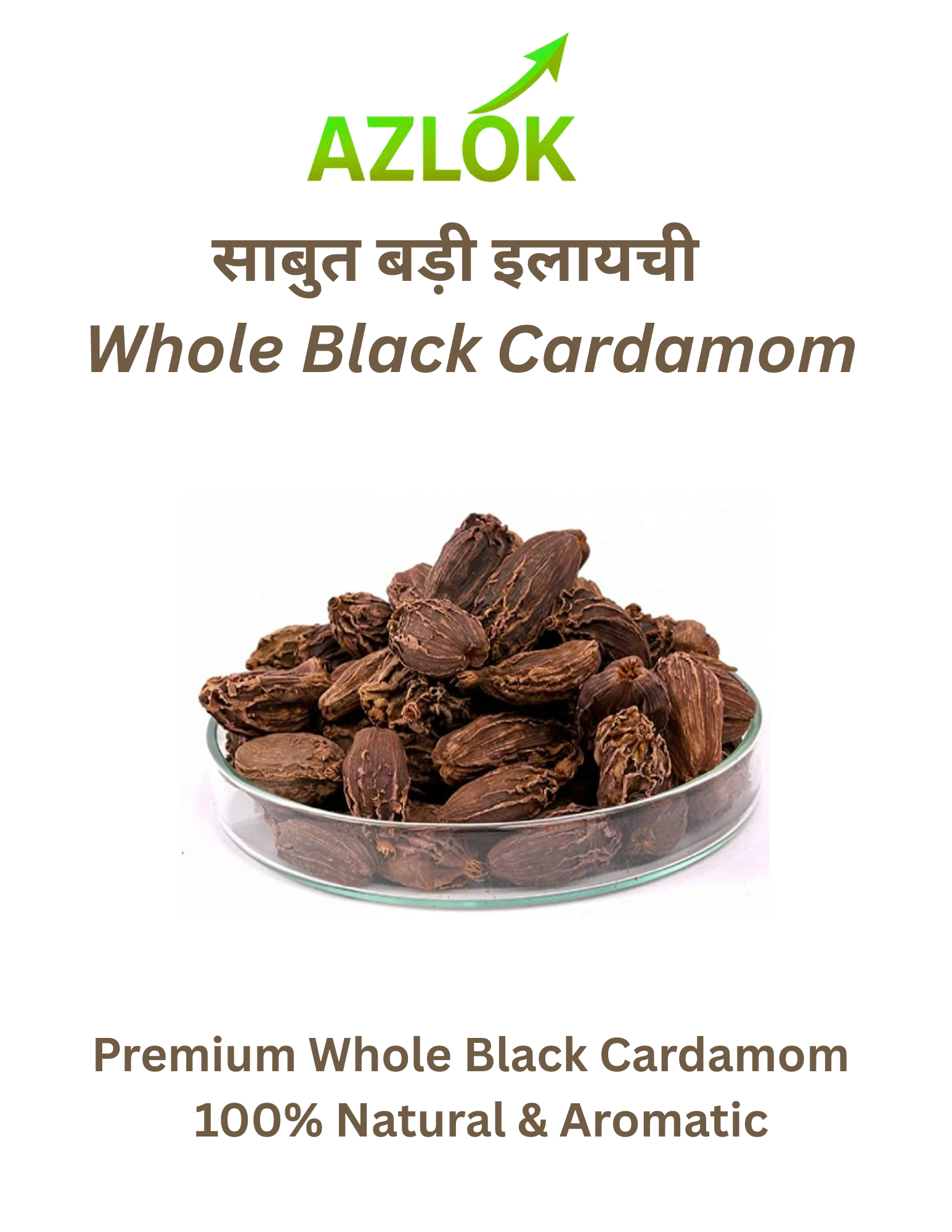 Azlok Badi Elaichi (Black Cardamom) 50 g | Azlok