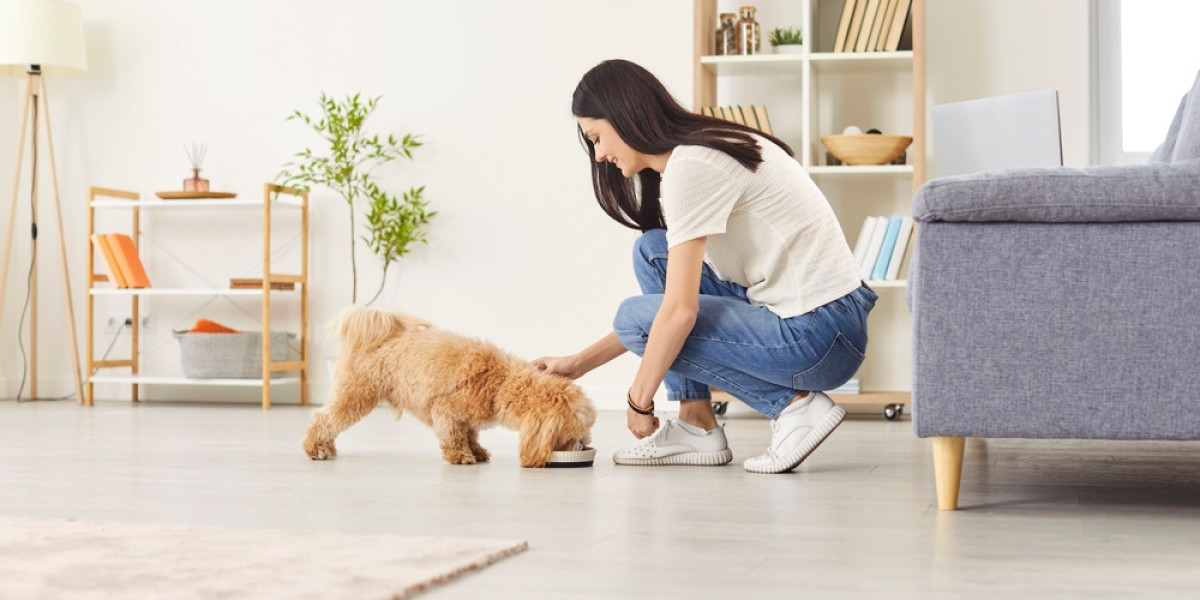Smart Ways to Use Secure a Pet RX™ in Your Daily Care Routine