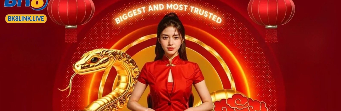 BK8 Link Cover Image