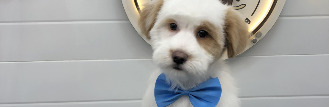 Fluffy Tails Qatar Cover Image