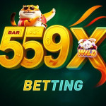 559X Site Oficial Apostas Online Profile Picture