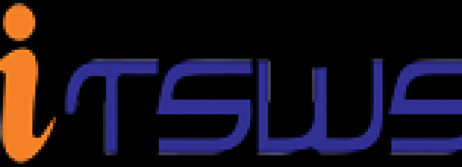 ITSWS EDUERP Cover Image