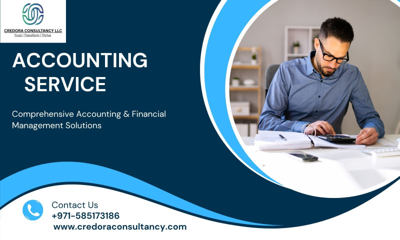 Why Your Business Needs a Corporate Tax Consultant and Reliable Accounting Services : ext_6875884 — LiveJournal