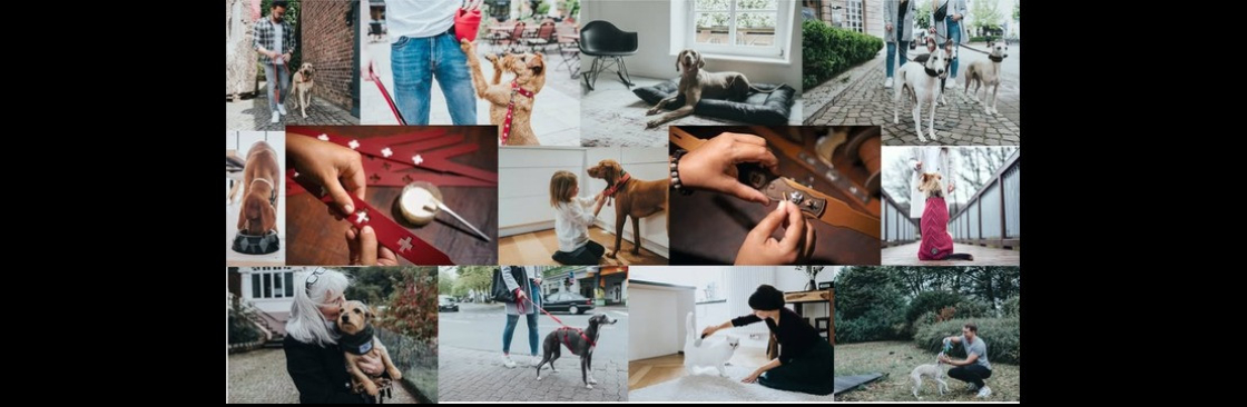 Michael Grant Cover Image