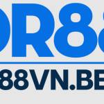 dr88vnbest Profile Picture