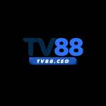 Tv88 ceo Profile Picture