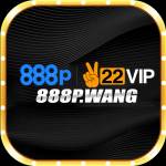 888p wang Profile Picture