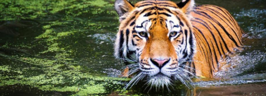 Bayjid Bostami Cover Image