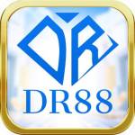 DR88 Profile Picture