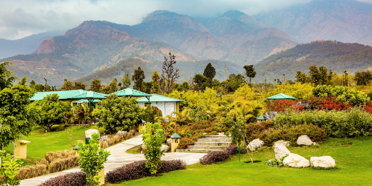 Experience Nature and Luxury: Best Hotels in Jim Corbett You Shouldn't Miss