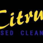 Citus Based Cleaner Profile Picture