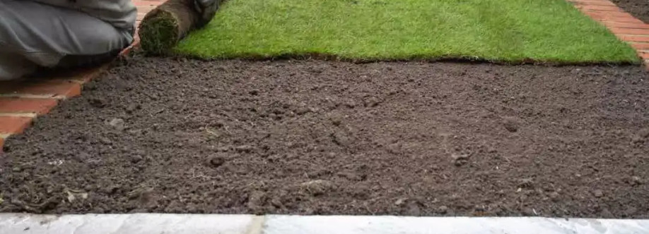 sir grange zoysia sydney Cover Image