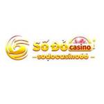 Sodo Casino 66com Profile Picture