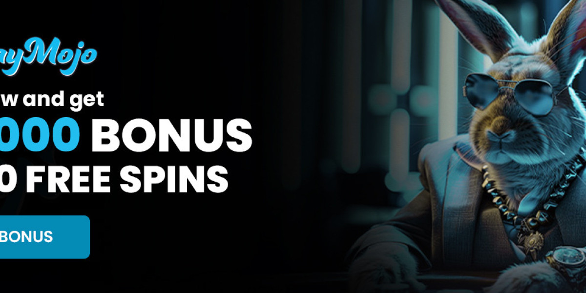 Playmojo Wintertrends Und Die Digitale Reise Der Nutzer