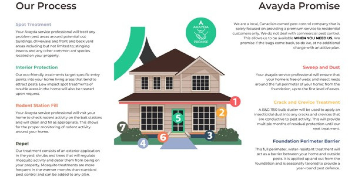 Things To Remember After The Pest Control Treatment