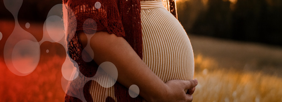 alfa ferro Cover Image