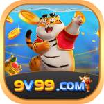 9V99 Profile Picture