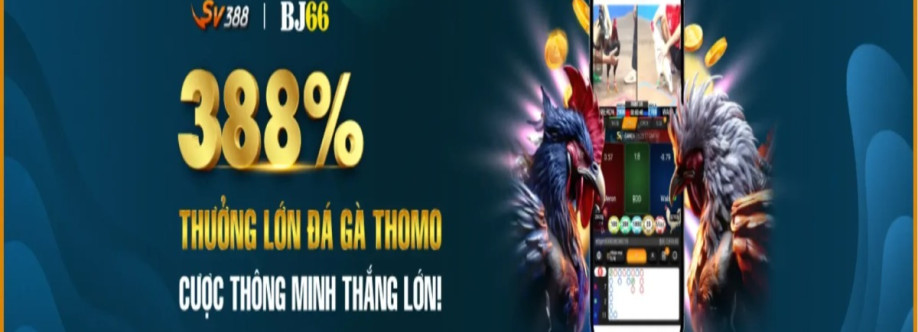 Bj66 blog Cover Image