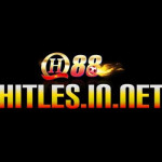 Hitle Profile Picture