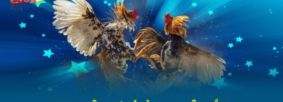 Nhà Cái QH88 Cover Image