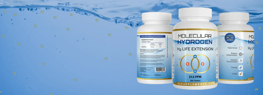 H2 Supplements Cover Image